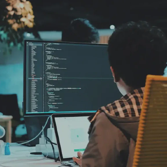 Developer